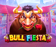 Bull Fiesta